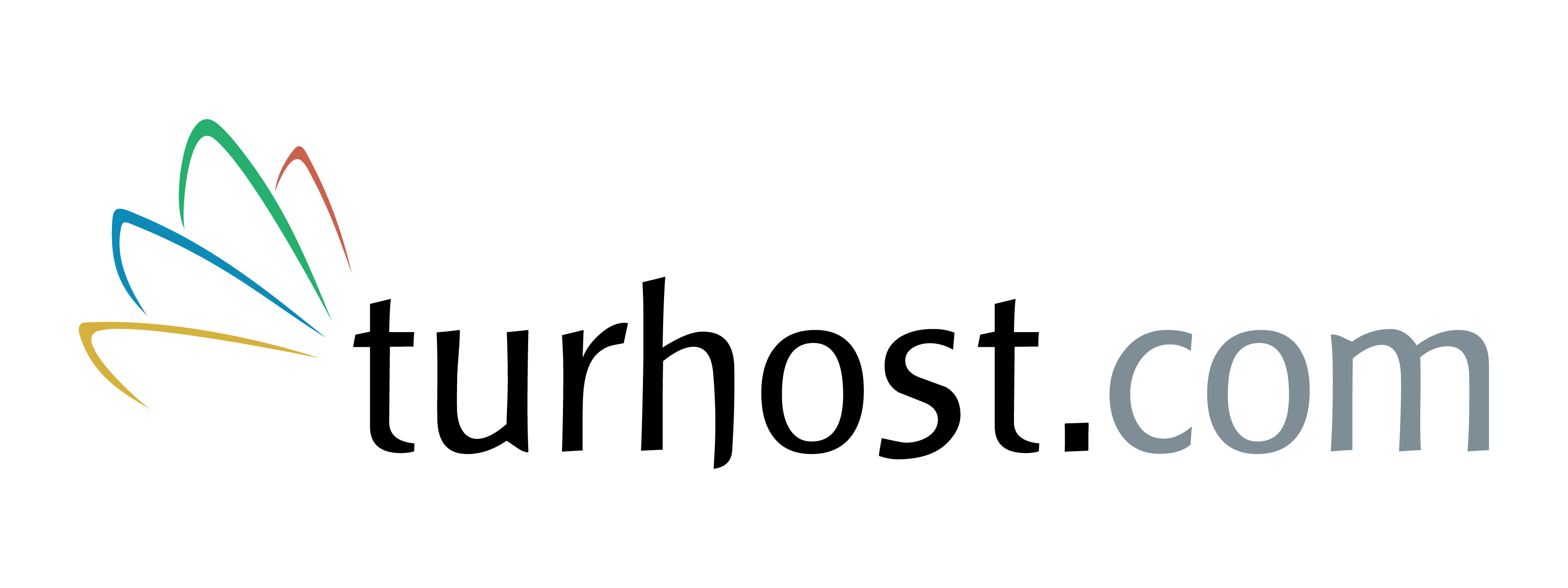 logo_turhost-logo